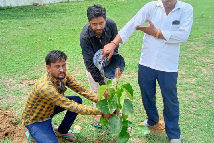 उपखंड क्षेत्र मैं आज निहाल दैनिक समाचार के पत्रकार व सरपंच के द्वारा कन्या महाविद्यालय में वृक्षारोपण किया गया