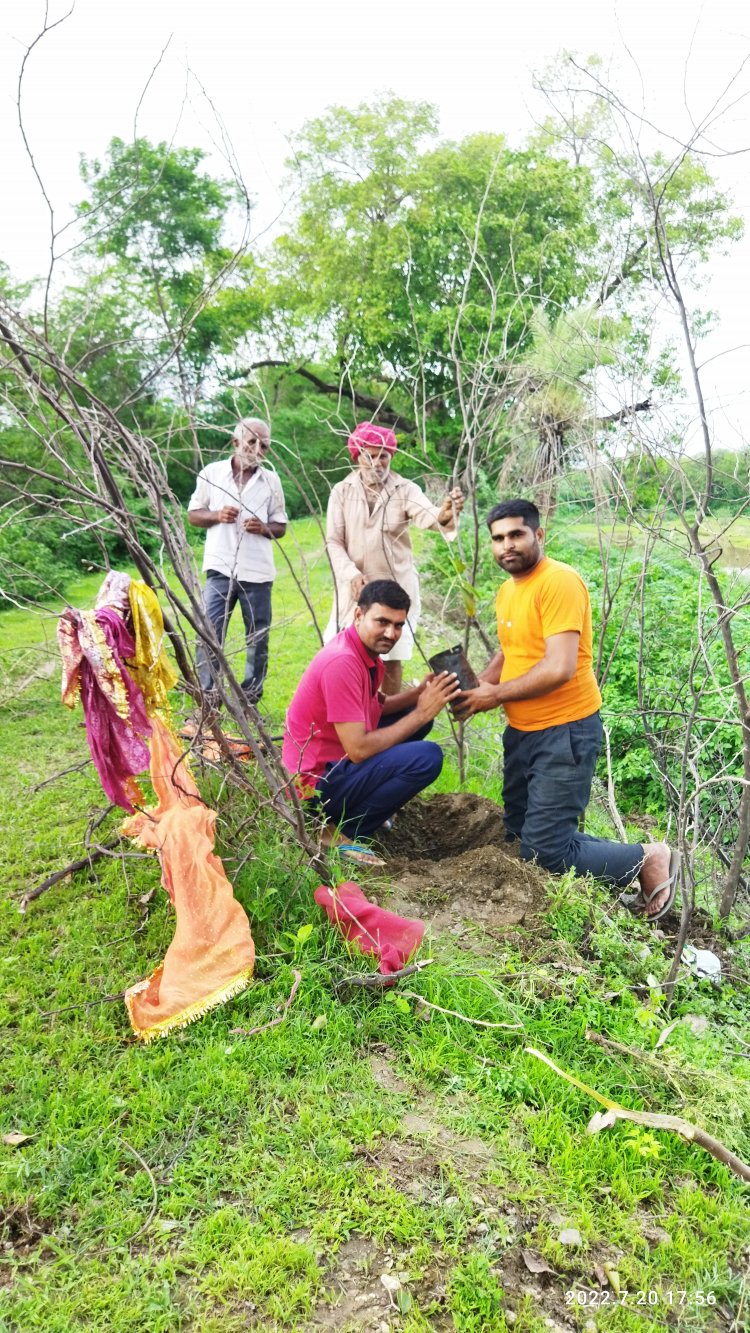 निहाल समाचार पत्र के ब्यूरो चीफ कपासन शोभा लाल जाट के जन्म दिन पर वृक्षारोपण किया