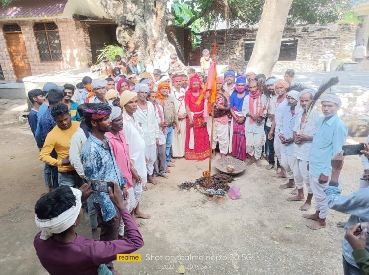 गवरी माता पार्वती व भगवान शिव का स्वरूप है जो कि मेवाड़ के भील समाज द्वारा खेली जाती हैं