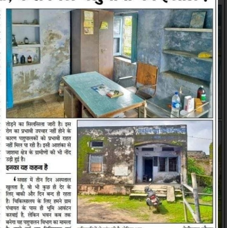 विभागीय अनदेखी से जाशमा चिकित्सालय भवन का हुआ जर्जर .... पशु चिकित्सालय के सभी पद रिक्त , कैसे मिले बेजुबानों को इलाज ?
