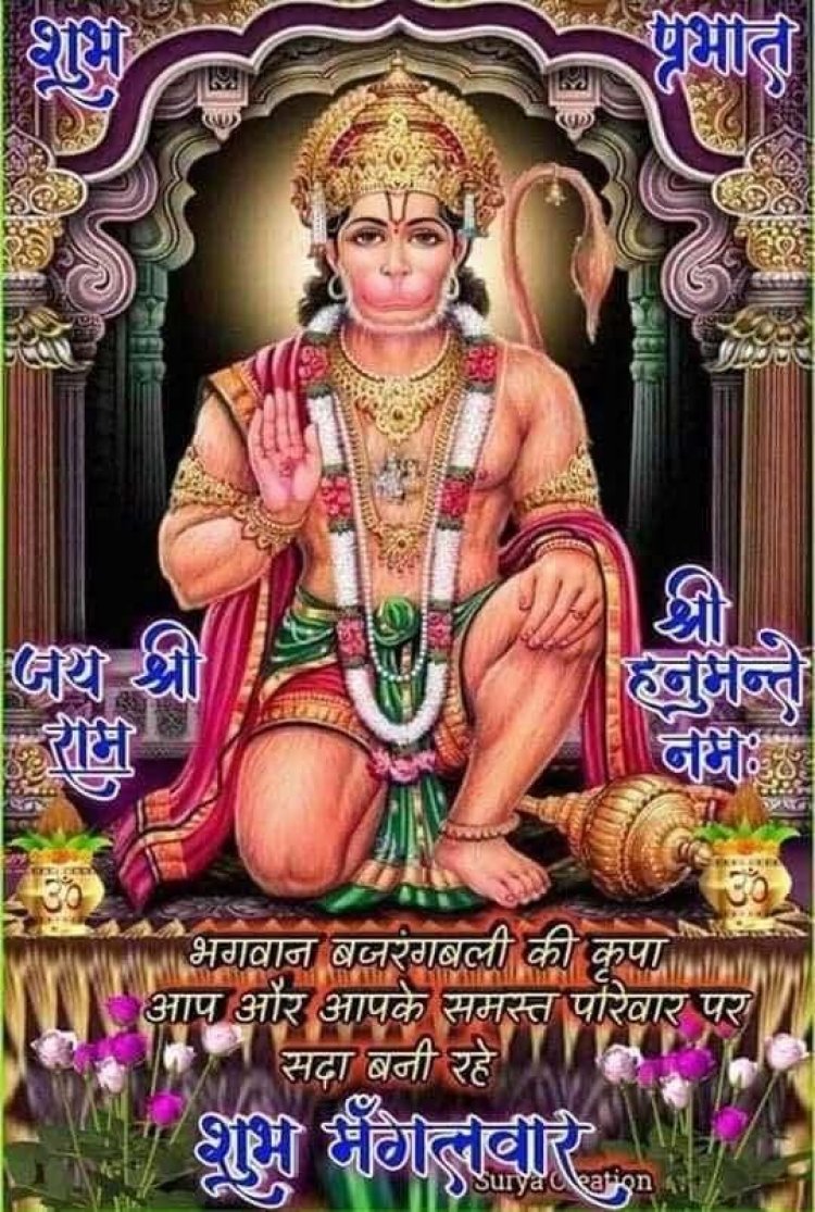 वानरराज मृत्यु पर गिलुण्ड में ग्रामीणों ने हिंदू रीति रिवाज से शव यात्रा निकालकर अंतिम संस्कार किया।