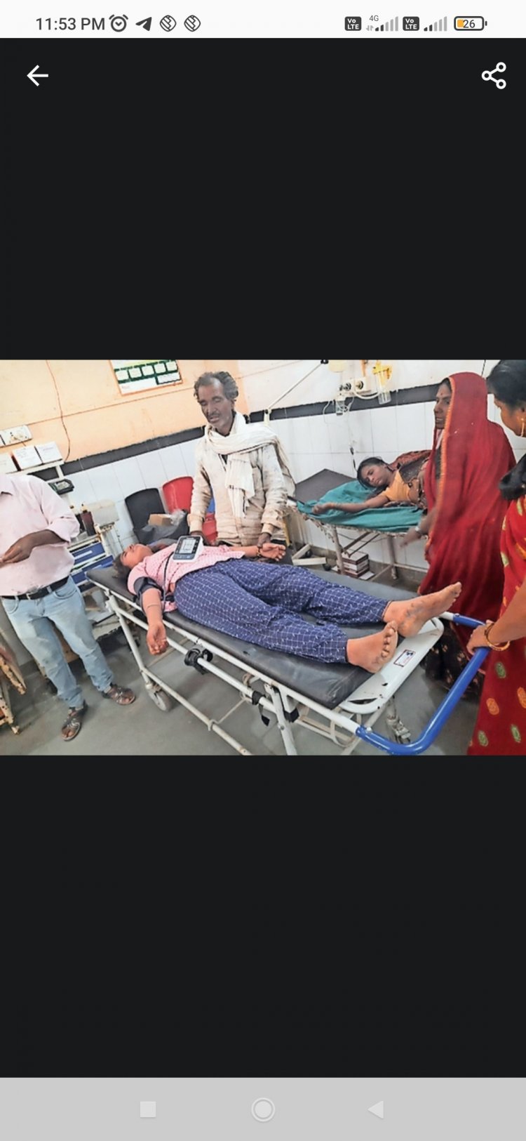 मधुमक्खियों का हमला: फसल काट रहे परिवार पर मधुमक्खियों का हमला, 5 घायल