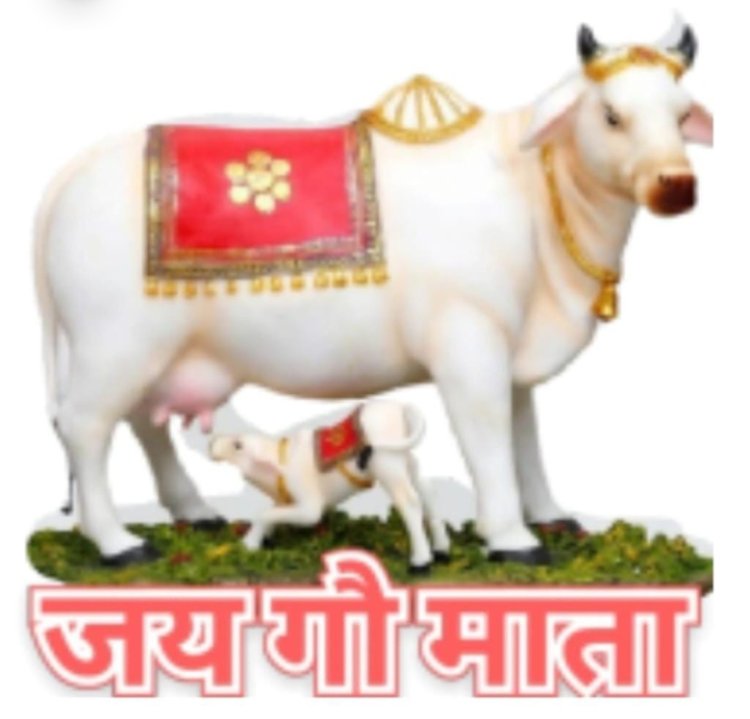 बोहेड़ा में सात दिवसीय गौ कथा का शुभारंभ आज से