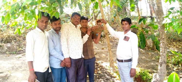 कालिका माता मंदिर परिसर में पक्षियों केलिए पानी पीने केलिए बांधे परिंडे