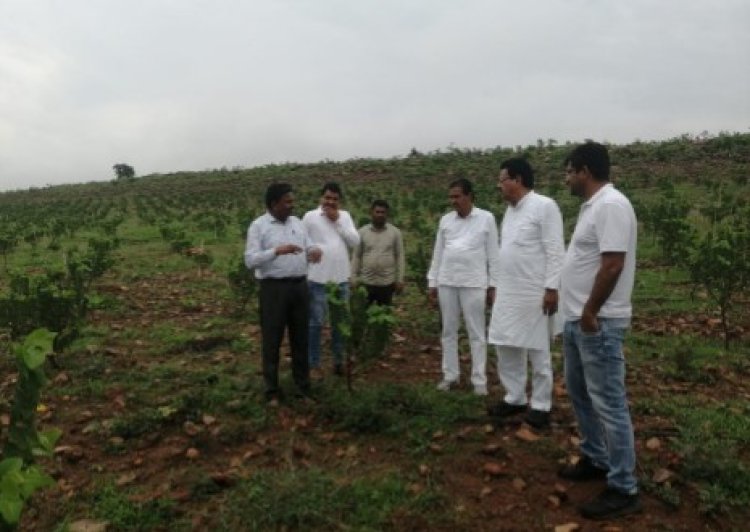 शिकारगा उदय एग्री फार्म बनेगा राजस्थान का सीता फल हब
