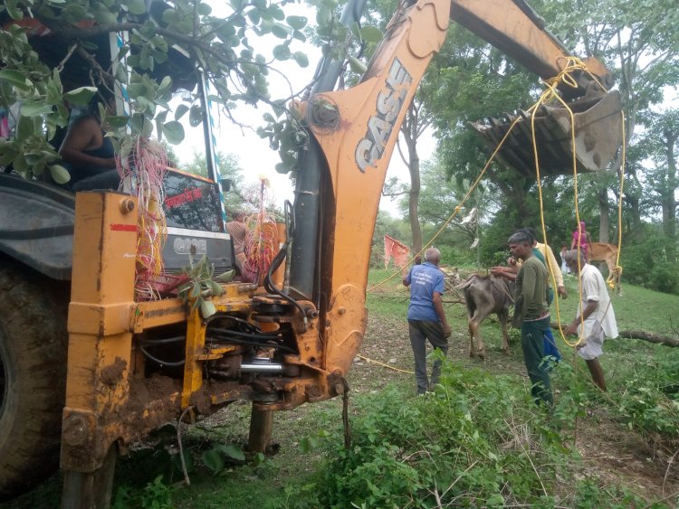 बड़ी सादड़ी के ग्राम सेमल खेड़ा में सूखे कुएं में भैंस गिरने से जेसीबी कि सहायता से बाहर निकाली....