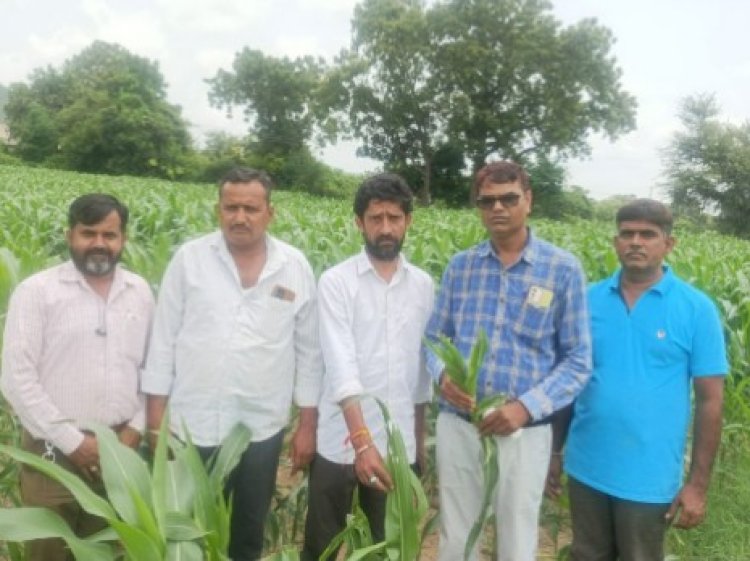 कृषि अधिकारी ने किया फसलों का निरीक्षण इल्ली व पत्तो में दिखा पीलापन