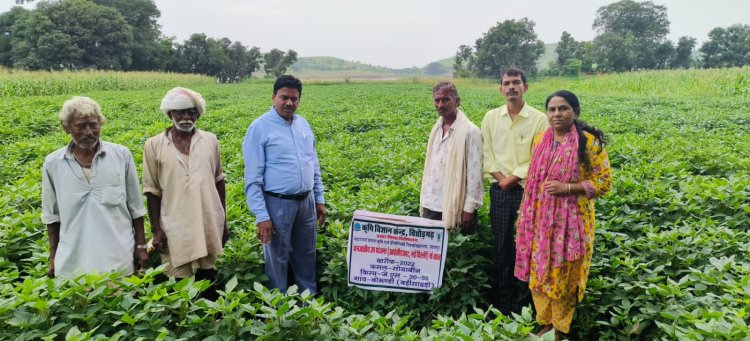जनजाति क्षेत्र में सोयाबीन की फसल के प्रदर्शनों का निरीक्षण किया