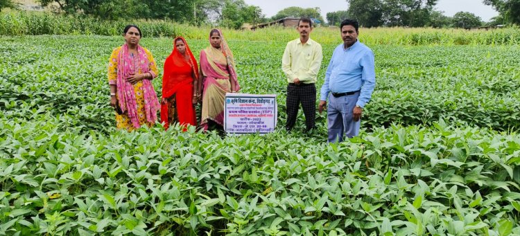 जनजाति क्षेत्र में सोयाबीन की फसल के प्रदर्शनों का निरीक्षण किया