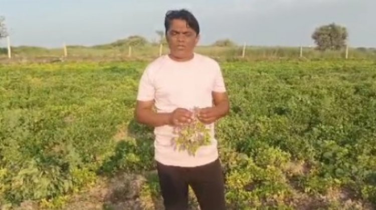 अन्नदाता की आस-सरकार करो कर्जा माफ