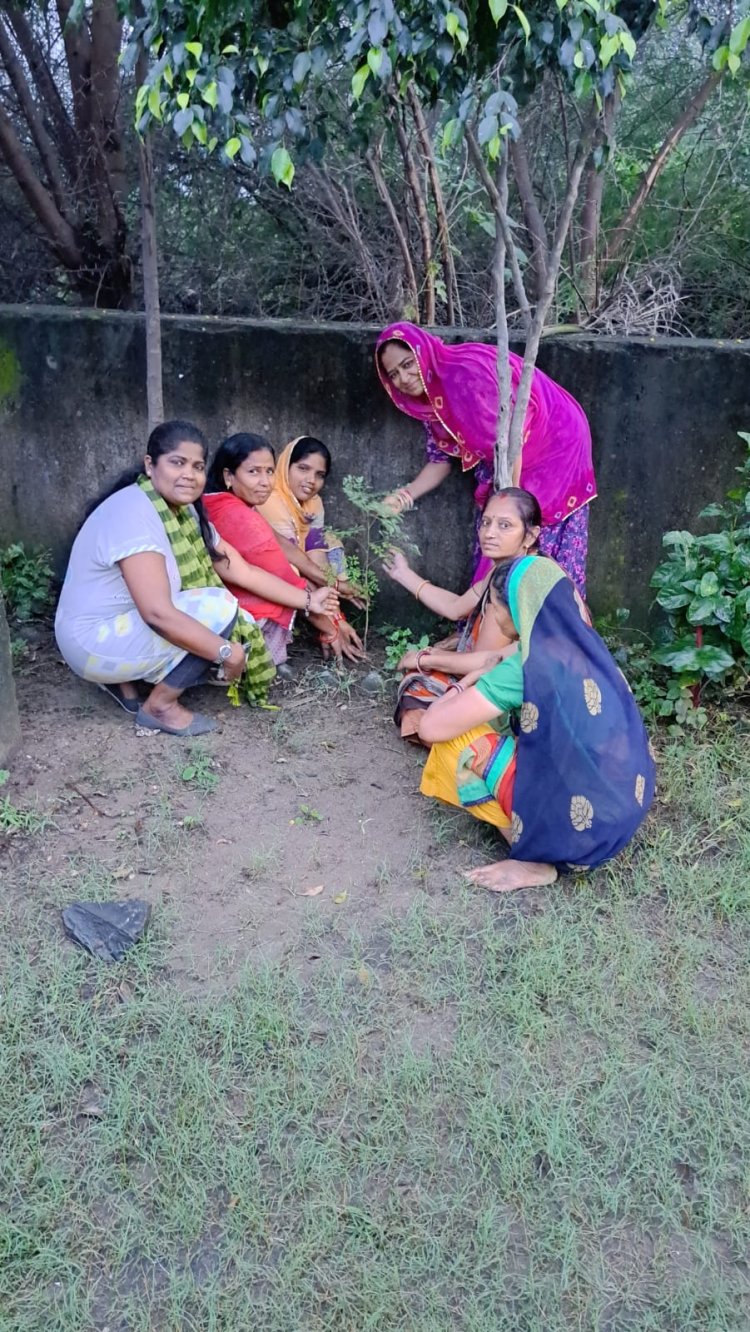 दिव्य  शक्ति संस्थान ने भीलवाडा के ओमनगर मे 31 प्रकार के पौधो का पौधारोपण किया और पौधो का वितरण किया