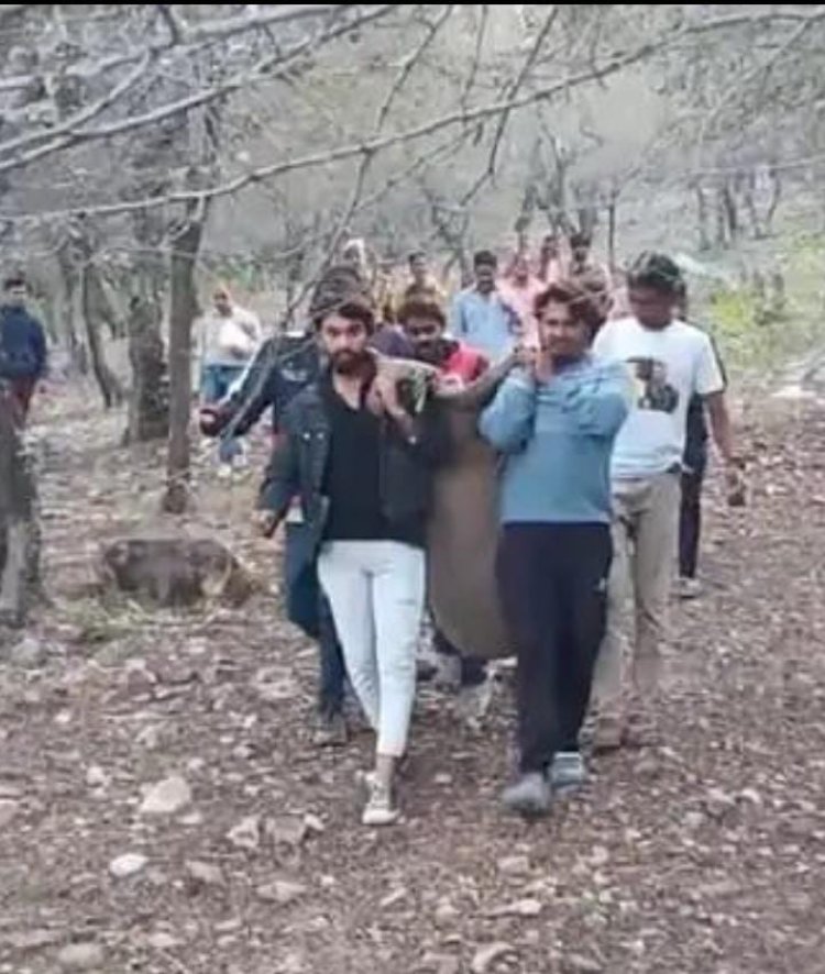 मानपुरा के जंगल में मिली एमपी के युवक की लाश: सिर पर चोट के निशान, पोस्टमार्टम से पता चलेगा मर्डर है या सुसाइड
