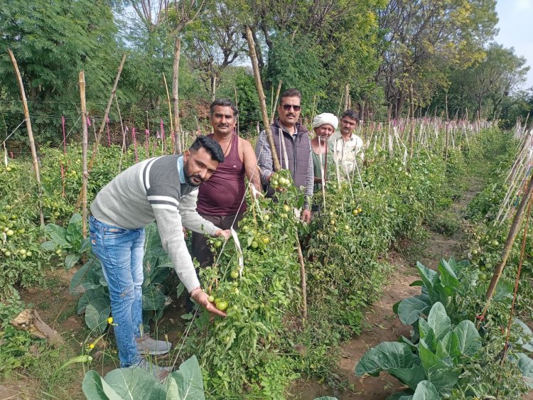 पाला पडने की संभावना को देखते हुए किसान बचाव हेतु आवश्यक उपाय करें