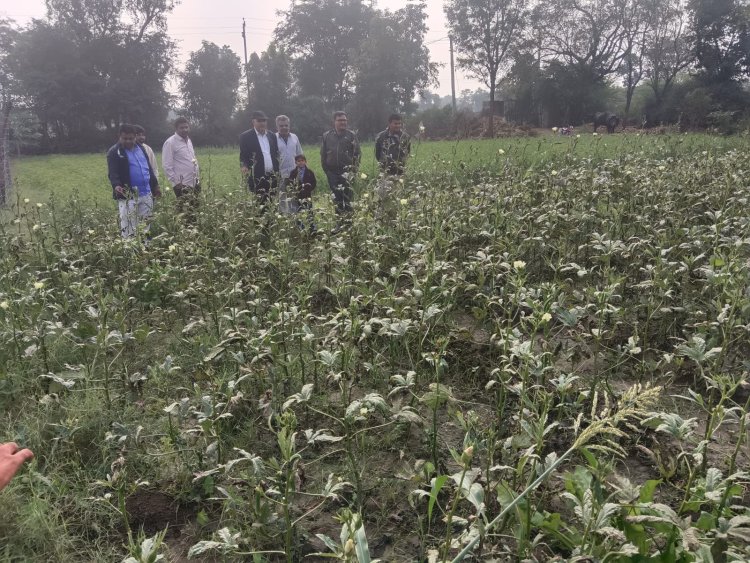 पाला पडने की संभावना को देखते हुए किसान बचाव हेतु आवश्यक उपाय करें