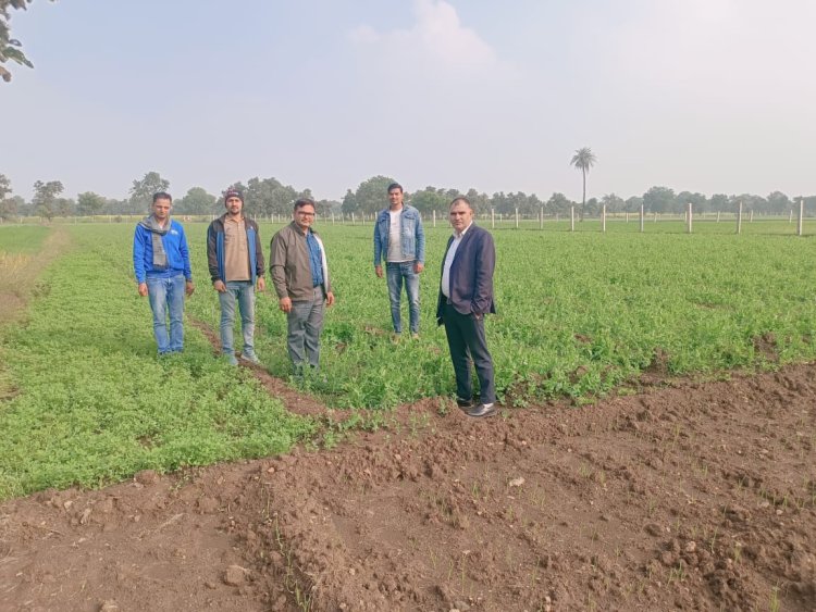 पाला पडने की संभावना को देखते हुए किसान बचाव हेतु आवश्यक उपाय करें