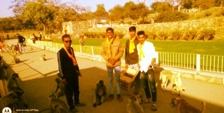 दुर्ग पर वानरराज को बिस्किट खिला मनाया उत्सव।