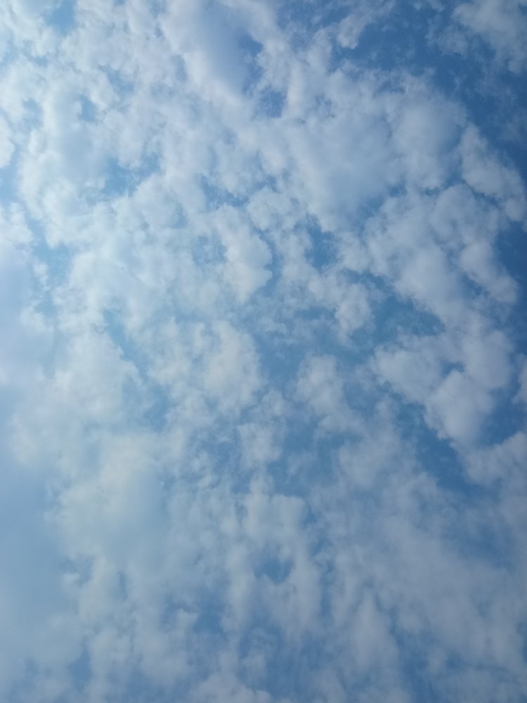 राजस्थान में सीकर-बीकानेर समेत 6 जिलों में बारिश:17 शहरों में बादल छाने से 2 डिग्री तक बढ़ा तापमान, अलवर में छाया घना कोहरा