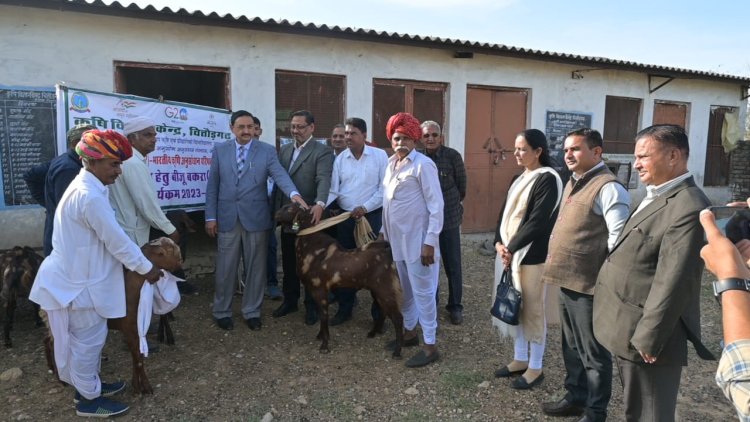 जनजाति उपयोजना के तहत जनजाति क्षेत्र के किसानों को सिरोही नस्ल के बीजू बकरे वितरण