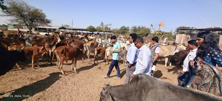 जिला कलक्टर ने नरेगा कार्यों प्राथमिक स्वास्थ्य केंद्र एवं विद्यालय का किया निरीक्षण