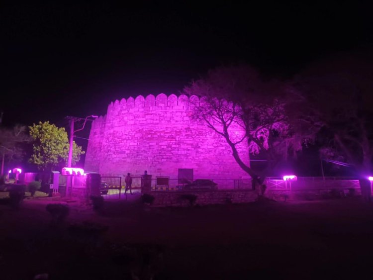 अंतर्राष्ट्रीय महिला दिवस पर गुलाबी रंग से रोशन हुआ दुर्ग