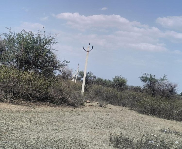 रात मे बिजली गुल सुबह उठकर ग्रामीणों ने देखा तो 18 पोल से वायर घायब, बिजली विभाग को करीब 10 लाख का चुना लगा गये बदमाश।
