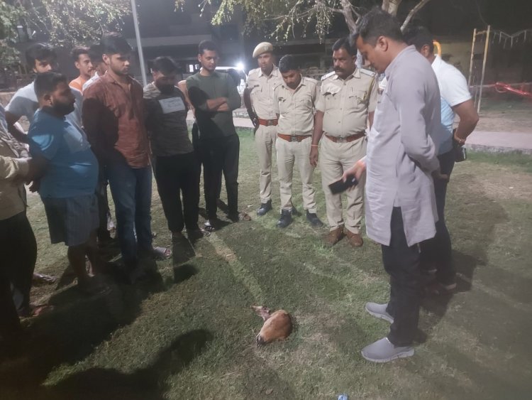 गांधीनगर सेक्टर 4 स्थित राधा कृष्ण पार्क में नवजात गाय के बछड़े का  मिला कटा हुआ सिर 