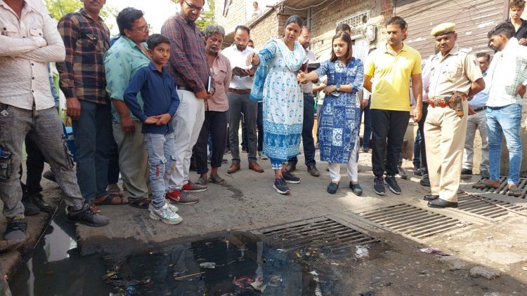 भीषण गर्मी को देखते हुए आमजन को विद्युत एवं पेयजल समस्या का सामना नहीं करना पड़े-डॉ. सौम्या झा