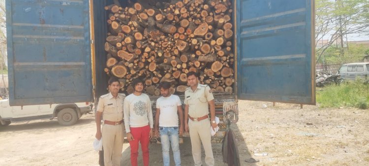 डीएसटी की अवैध वन सम्पदा के खिलाफ बड़ी कार्यवाही | 20 टन से अधिक नीम व बबूल की अवैध गीली लकड़ी सहित कंटेनर जब्त, दो गिरफतार
