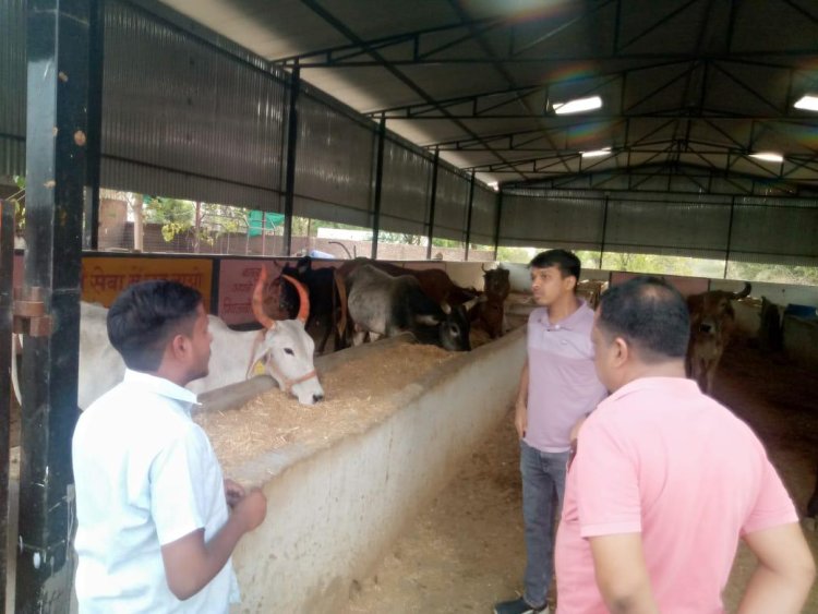 जिला कलक्टर के निर्देशानुसार अधिकारी रहे फील्ड में      पानी, बिजली और स्वास्थ्य सेवाओं की पर्याप्त उपलब्धता सुनिश्चित करने के निर्देश 
