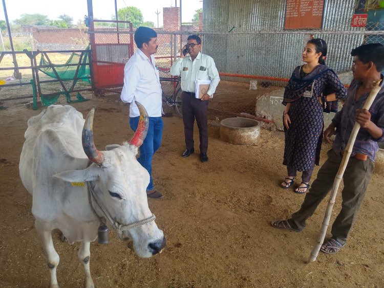 उपखंड अधिकारी ने धनेतकलां में किया विभिन्न कार्यों का निरीक्षण