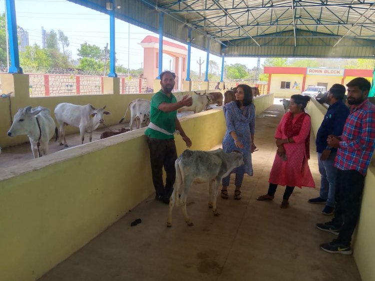उपखंड अधिकारी ग्राम सावा में पीएचसी व गौशाला का किया निरीक्षण