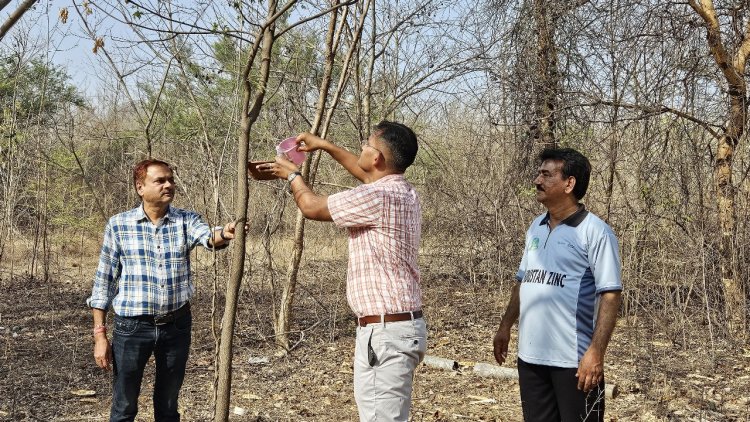 प्रदूषण नियंत्रण मण्डल द्वारा 10 मिनट में टंगवाए गए 250 परिण्डे*क्रिकेट प्रतियोगिता का समापन