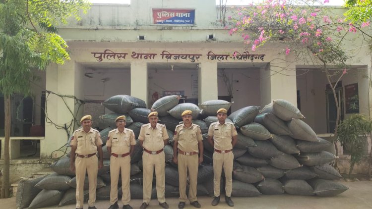 बिजयपुर थाना पुलिस की अवैध मादक पदार्थों की तस्करी के खिलाफ बड़ी कार्रवाई।  पिकअप से करीब 2 करोड़ की कीमत का 12 क्विंटल 34 किलोग्राम अवैध अफीम डोडा चुरा जप्त