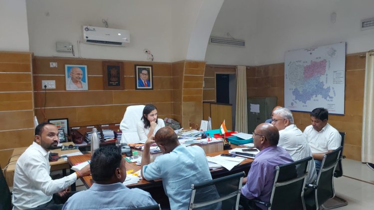 भीषण गर्मी में आमजन की पेयजल व विद्युत समस्याओं का त्वरित निराकरण हो- डॉ. सौम्या झा