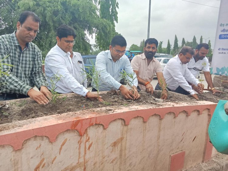 जे.के.सीमेंट के 50 वर्ष पूर्ण होने के अवसर पर किया गया वृक्षारोपण