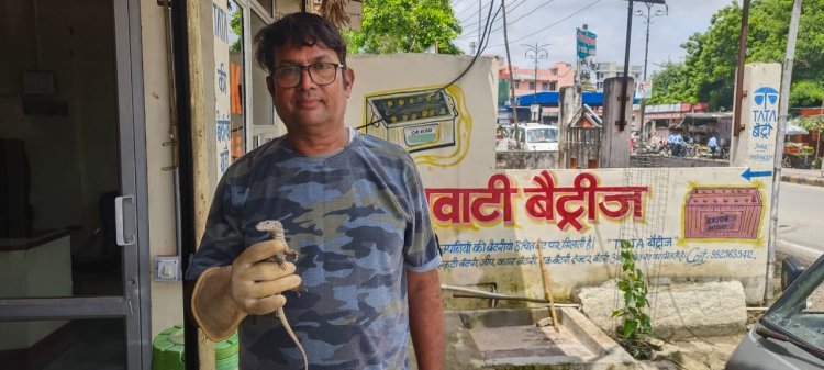 वन्यजीव प्रेमी शादाब रिजवी ने मानिटर लिजर्ड का रेस्क्यू कर सुरक्षित जंगल में छोड़ा