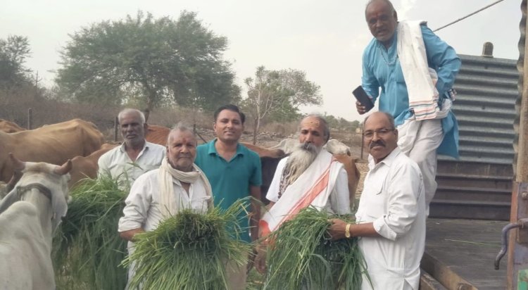 गौ प्रसादम परिवार का गौमाता निमित्त सेवा प्रकल्प निरंतर जारी