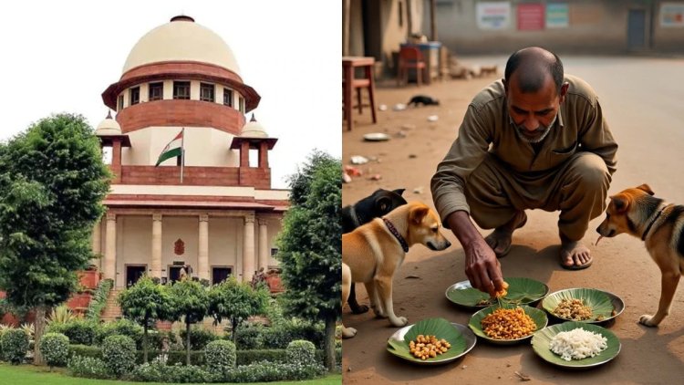 सुप्रीम कोर्ट की फटकार: "आवारा कुत्तों को घर पर खिलाएं, हर गली-सड़क नहीं है शेल्टर"